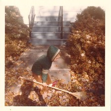 Vintage Photo 1974 Little Helper Gardener Fall Autumn Leaves Rack Leaf Cleanup picture