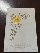 D-021 Embossed Victorian Trade Card - Valentine & Briggs North Adams, MA picture