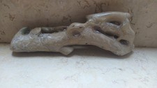 Coral Natural rare HUGE Branch 835grm 295mm Genuine specimen used for jewelry picture