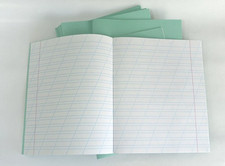 Set 10 pcs Russian Classic School Notebook Tetradka 12 Sh. Narrow Oblique Lines picture