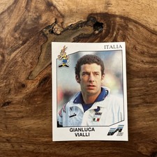 GIANLUCA VIALLI 🇮🇹 Panini UEFA Euro 92 Sweden - ITALIA No. 252  picture