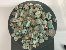 259 Grams of Natural American Green Tree Mine Turquoise Rough Nevada Turquoise picture