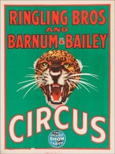 RINGLING BROTHERS BARNUM & BAILEY LEOPARD 16