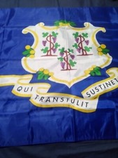 Connecticut State Flag picture