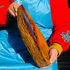 10.6LB Natural tiger's-eye rough raw stone rock specimrn Madagascar polish 3072 picture
