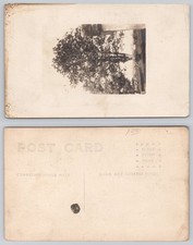 Vintage RPPC Postcard Large Tree & Rural Building Real Photo Unposted picture