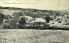 Ashuelot NH New Hampshire Bird's Eye View Covered Bridge c1910s Antique Postcard picture