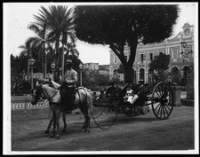 Photo:Havana Cuba 1890s Cuban Volanta Horse Carriage picture