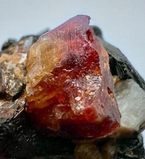 24 Gm Gorgeous Natural Perfect Red Zircon Crystal On Matrix Specimen~Pak picture