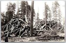 RPPC Real Photo 2,000,000 feet of Logs on Coquille River OR Oregon 1930s-1940s picture