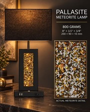 Pallasite Meteorite Table Lamp - 800 Grams Average Weight / 200mm X 80mm X 10mm picture