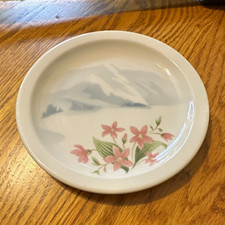 Syracuse China Great Northern Ry Railroad Plate/Saucer Floral Mountain Scene picture