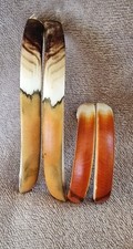 Pair BEAVER tooth/ Taxidermy/ Jewellery and More picture