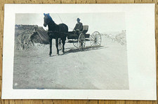 Vintage c1907 Horse Buggy RPPC Man Driving Dirt Road Skyline Drive Canon City picture