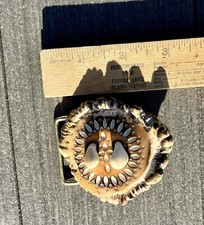 Vintage handmade Belt Buckle made from Elk Antler Burr & 2 Elk Tooth Trophy picture