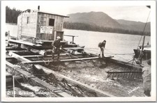 Vintage 1950s Alaska Real Photo RPPC Postcard 