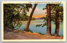 Sunrise Scene On Winding Savannah River~Augusta Georgia~1931 Linen Postcard picture
