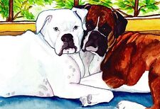 13x19 BOXER Fawn White Signed Dog Art PRINT of Original Watercolor Painting VERN picture