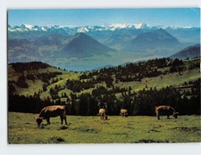 Postcard Blick vom Rigi Kulm Switzerland picture