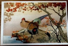 Vintage NYK Line Japan Pheasants Maple Trees Color Unused Postcard picture