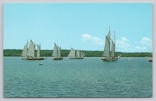 Camden Maine Charter Schooners Eggemoggin Reach Photochrome Postcard picture