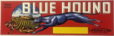 Antique 1950s Blue Hound Crate Label, Reedley, CA, Greyhound Dog Racing picture