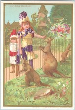 Lrg French Victorian Trade Card AU BON MARCHE DRESSY GIRLS VISIT KANGAROOS ZOO picture