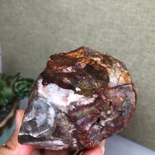 Natural crazy Mexican agate Crystal gemstone rough original Specimen 253g A6040 picture
