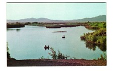 Beautiful Oxbow Lake Palo Verde CA vintage postcard unposted picture