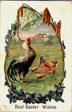 Vintage Victorian Postcard 1908 Best Easter Wishes - Rooster scene in an egg picture