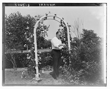 Photo:Billy Murray in Garden Under Arch, ca. 1915-1920 picture