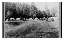 Yellowstone Roosevelt Camp Standard Postcard picture