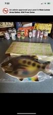 Vintage 60s Fish Platter tray Hoover MCM  Mid Century Modern NIB Art decor picture