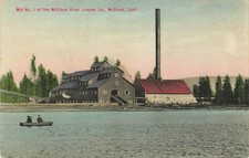 McCloud River Lumber Mill  California Vintage Postcard Rieder c1910 Hand Colored picture