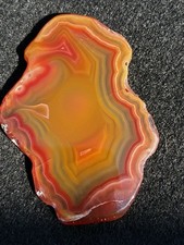 Xtra Large Polished Laguna Slice- Orange And Red Fortification- From Estate picture