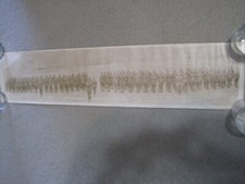 Antique & Original WW1 Panoramic 59th Infantry/4th Division Co. C picture