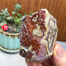 Natural Bonsai Suiseki Gobi Agate Eyes Stone-Stunning original View 167g A7323 picture
