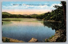 c1953 Sheridan Lake Black Hills National Forest South Dakota Postcard Vtg A11 picture