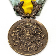 Post WW1 France Upper Silesia German/Poland campaign medal full size original picture