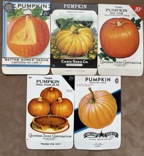 Lot of 5 Different Vintage Pumpkin Seed Packets, Old Stock, Unused Halloween picture