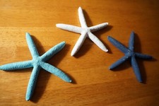 Rustic Starfish Figurine Set Blue Teal White Nautical Beach Tropical Home Decor picture