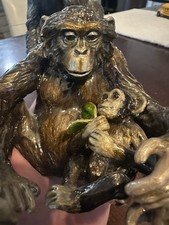 Jay Strong water Mom And Baby Monkey picture