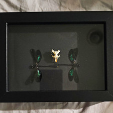 2 Green Dragonfly Specimen Framed Display in Black Shadow Box Frame picture