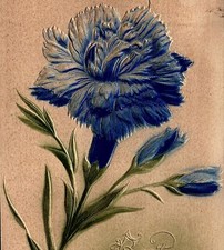 1908 BEST WISHES WERNERSVILLE PA FLORAL HEAVILY EMBOSSED POSTCARD 20-221 picture