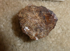 COOL Small Siderite Rock Specimen 1 3/8
