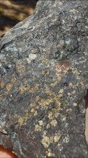 Gold Bearing Ore Specimen XRF Tested Natural Rough Quartz Vein Matrix Prospector picture