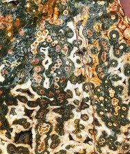 10kg Raw Natural Round Eye Vein Ocean Jasper Agate Rough Reiki Stone Healing picture