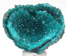 DIOPTASE Crystal Mineral Specimen DRUZY Cluster Natural Green CONGO AFRICA picture