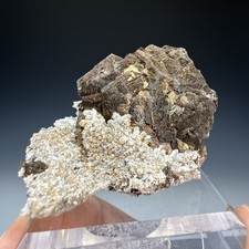 Pyrrhotite, Quartz, Nikolaevskiy Mine, Dalnegorsk, Primorsky Krai, Russia picture