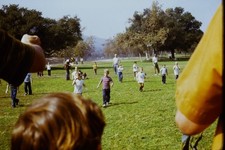 c1970's Kodachrome 35mm Slide, Kids Running Park Play mid 1970s green Children picture